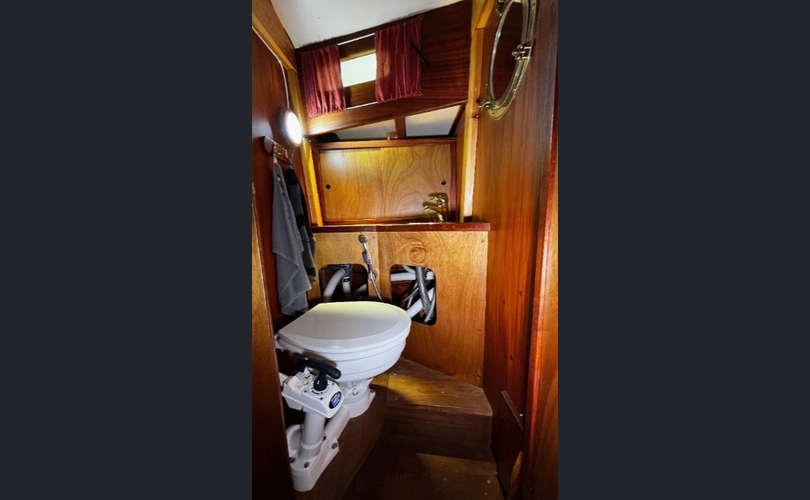 Scylla SuurScylla-kuva-2